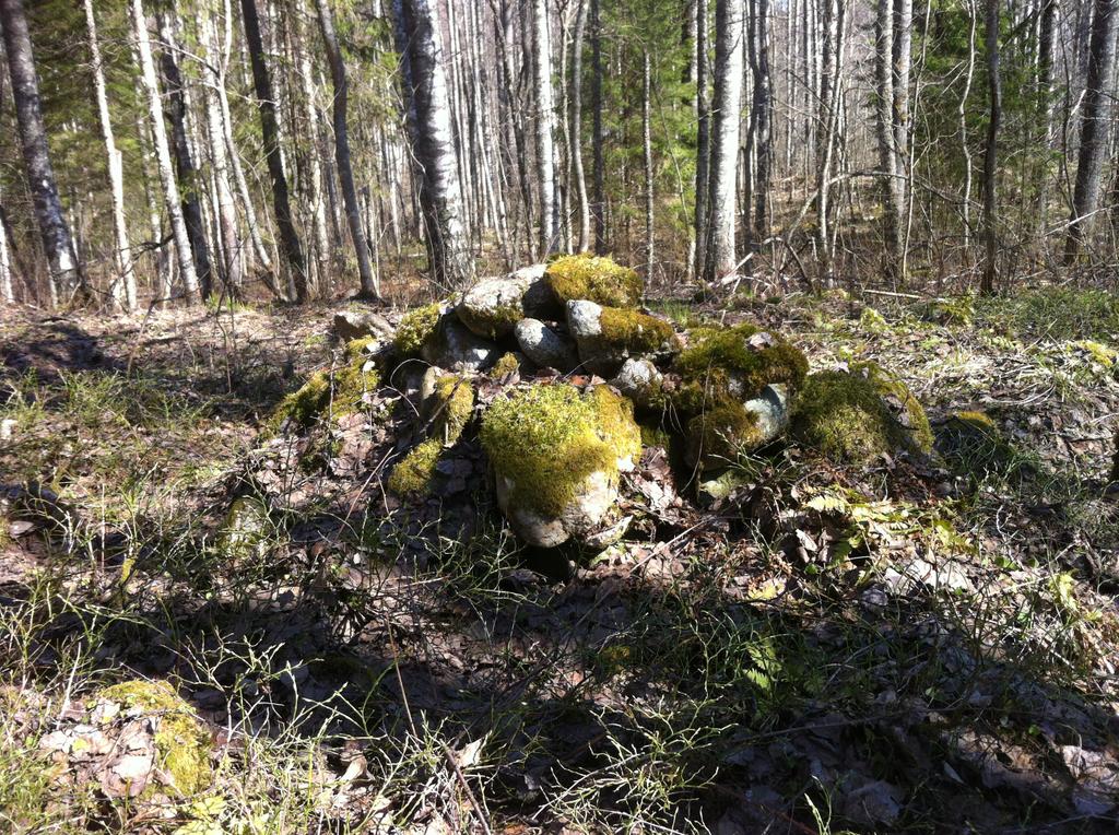 Гора камней