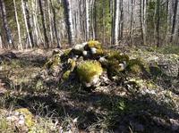 Гора камней