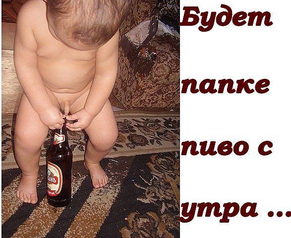 пиво для папки