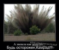А звенела как монетка... ;)