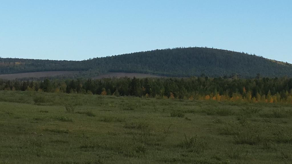 тс8396в