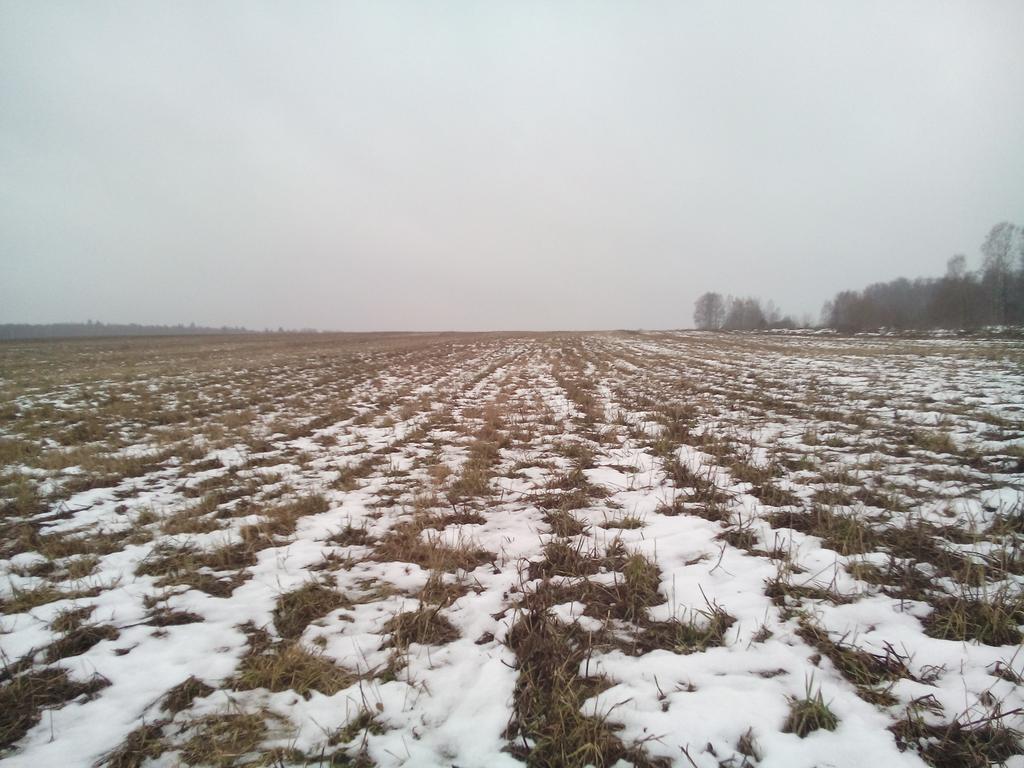 приехал