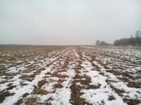 приехал