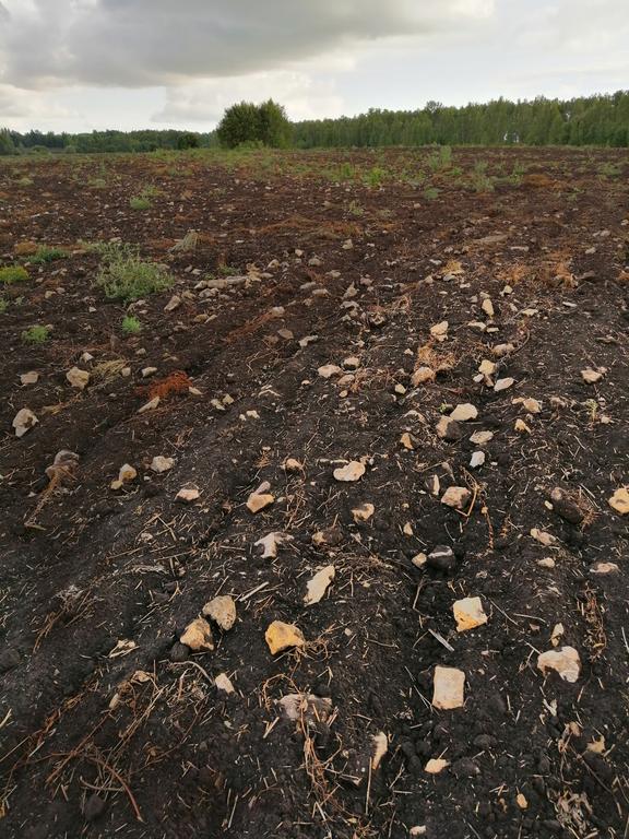 Фундамент на поле