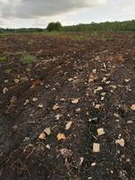 Фундамент на поле