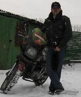 мой конь
