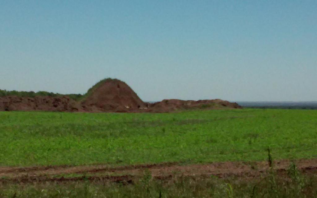 Через сутки было ровное поле, там был и найден кинжал, глазами, без прибора
