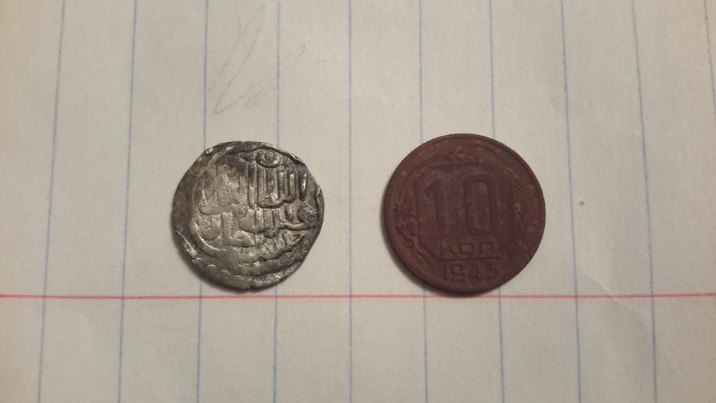 Арабская вяз 2