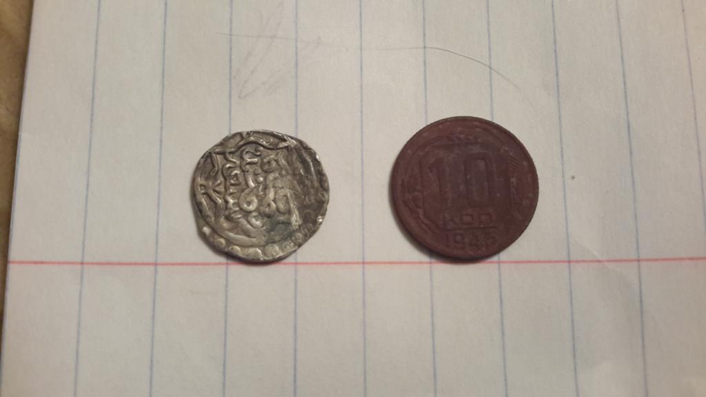 Арабская вяз 1