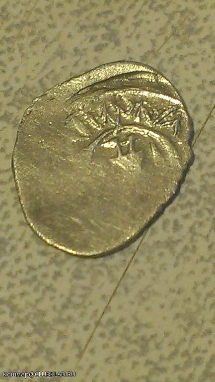 неизвестная чешуйка