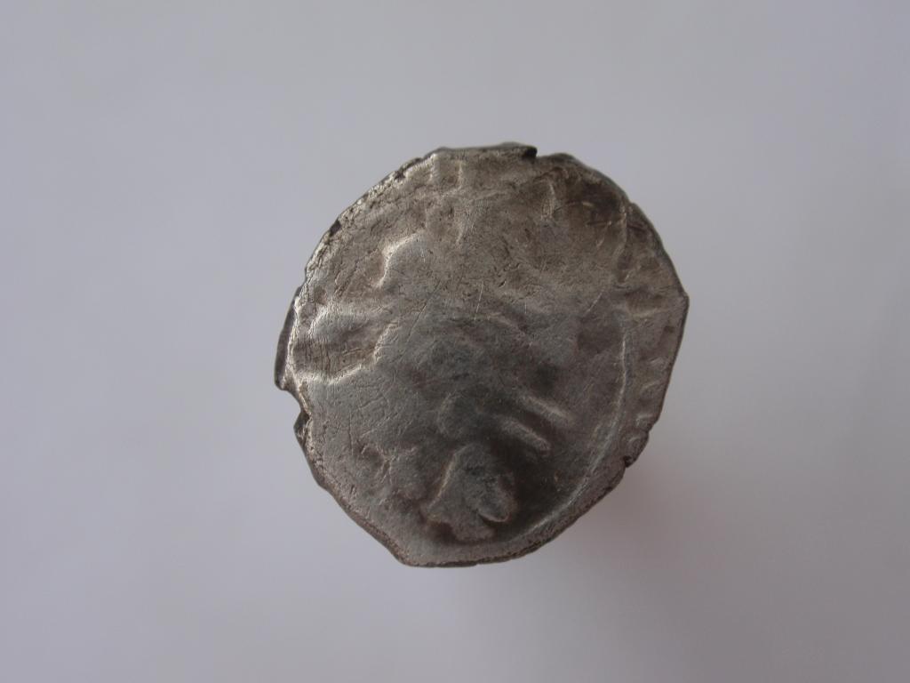 серебрушка