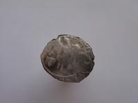 серебрушка