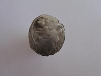 серебрушка