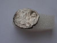 серебрушка