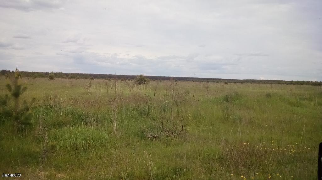 Бескрайние поля