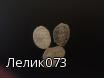 Чешуя