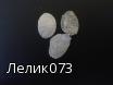 Чешуя