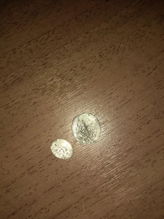 Помогите определить что это за чешуйки