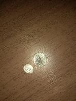 Помогите определить что это за чешуйки