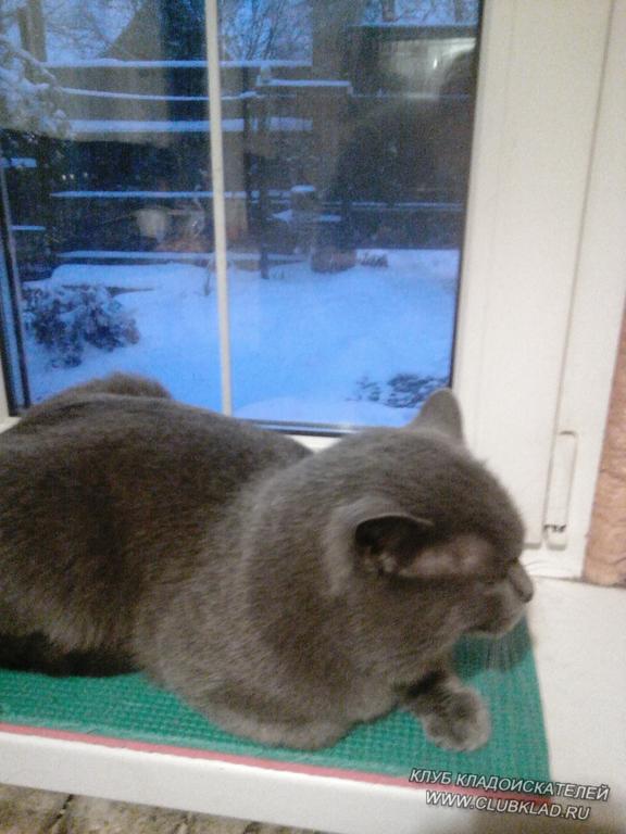 все ждем весну