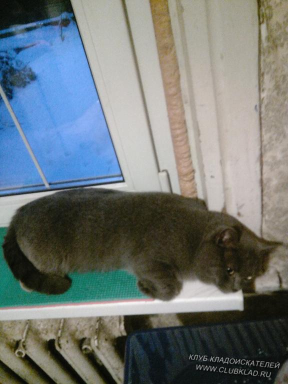 весна приди уже