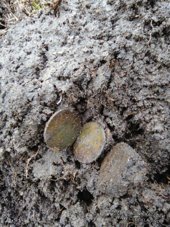 Монетки Николая Александровича