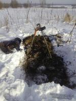 Проба грунта