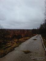 дорога