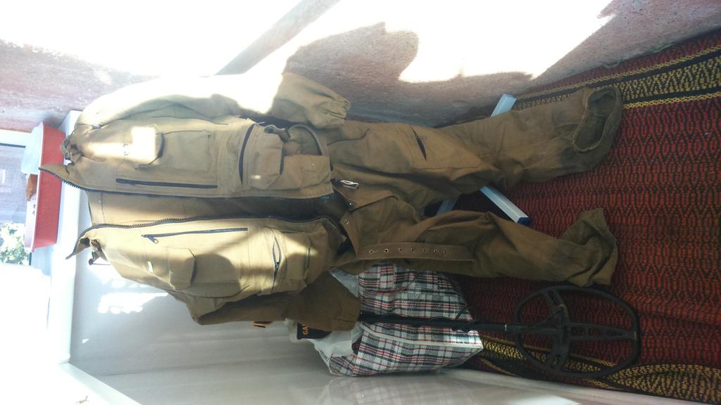 энцефалитка