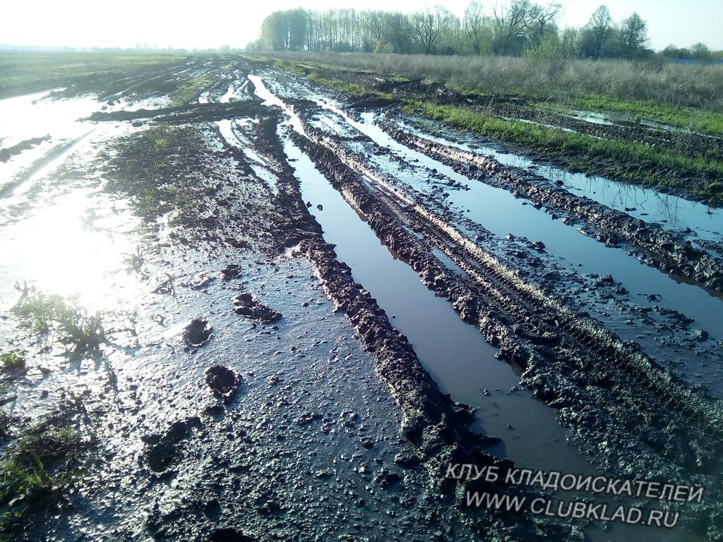 Коллея