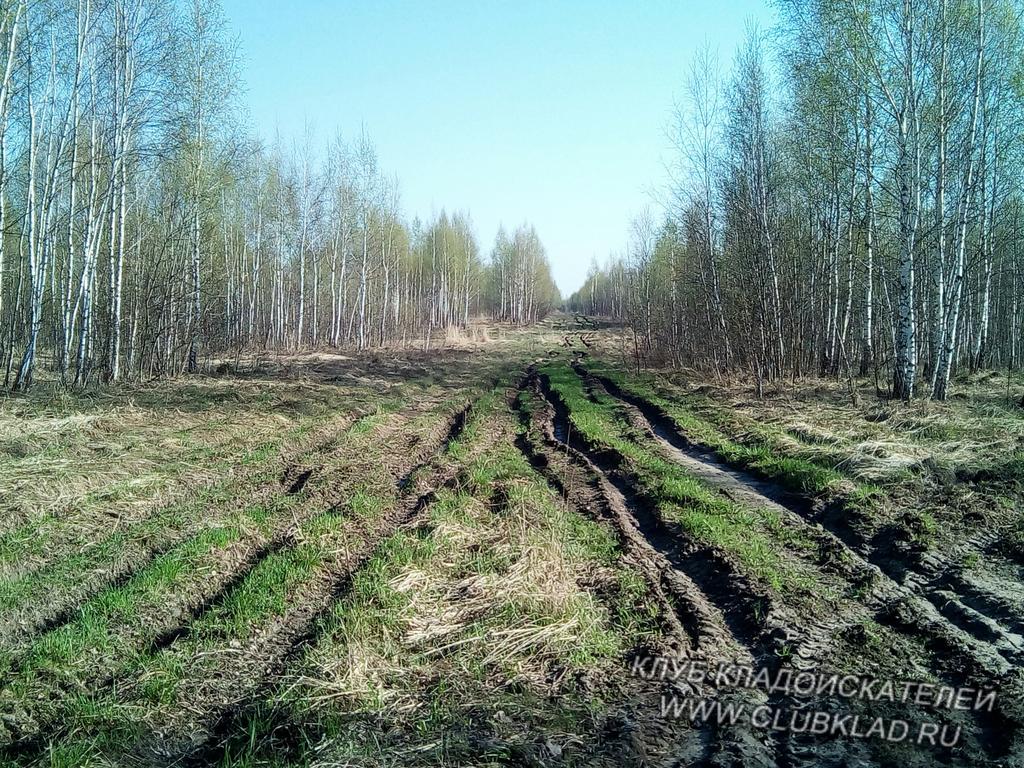 По лесам