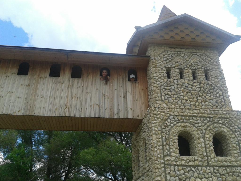 Задонский район