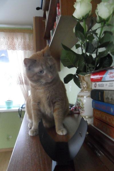 Ну вот.
