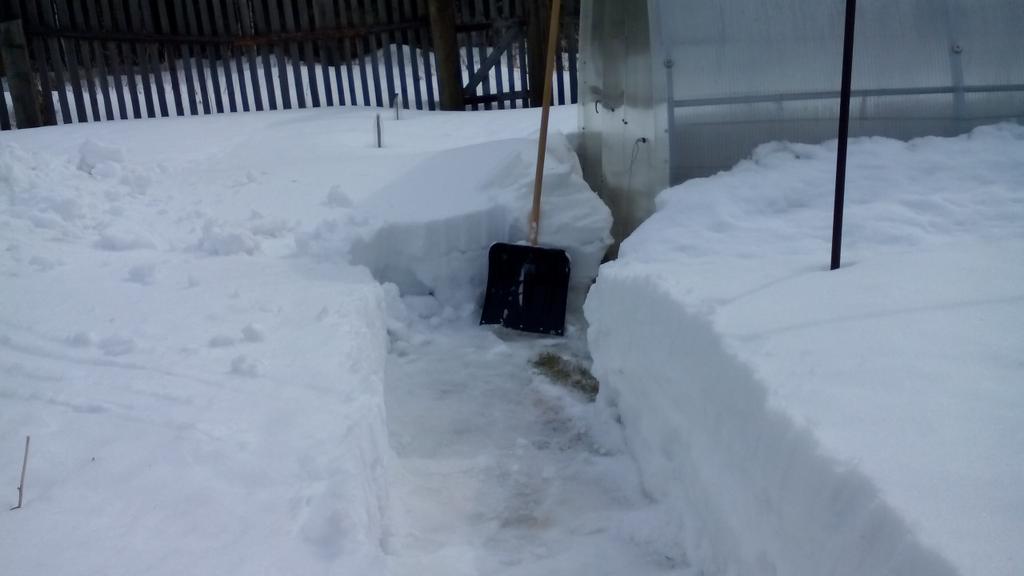 Весенняя тренировка пере будущим копом
