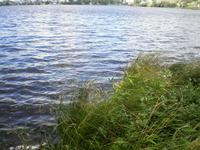 Берег