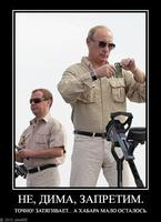 л