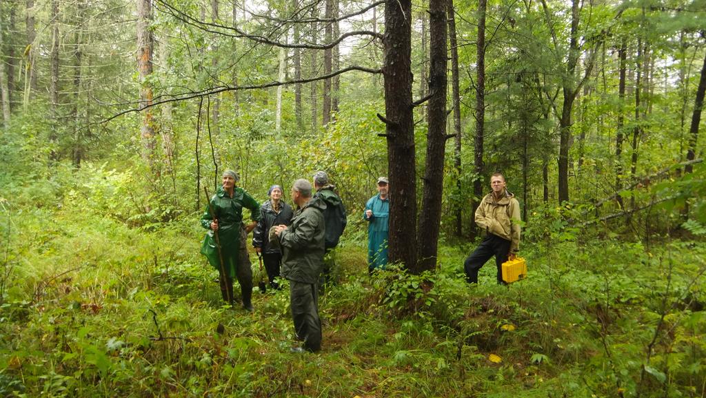 Мы ходим-бродим...