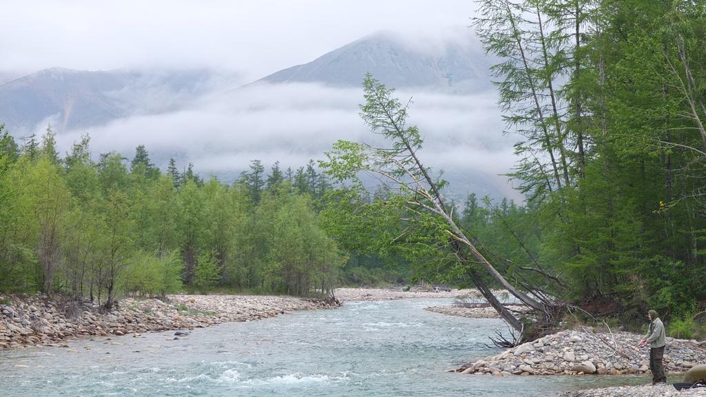 Магаданская тайга