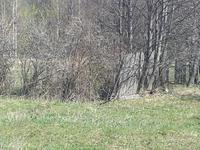 Брошенная деревня