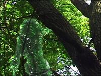 Рабочий костюм