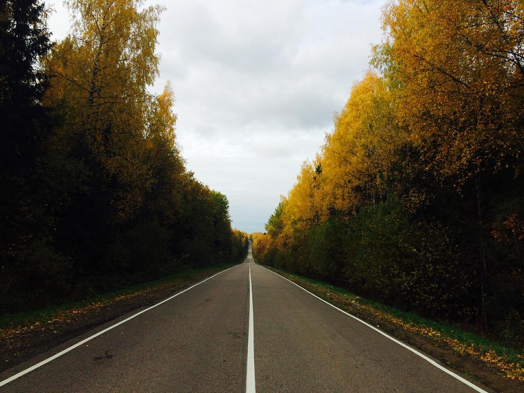 Золотая осень 2014