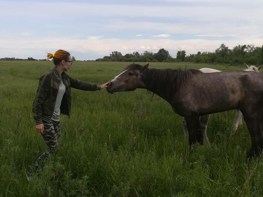 Приятная встреча