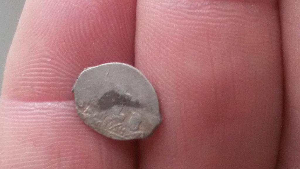 оборотка чешуя