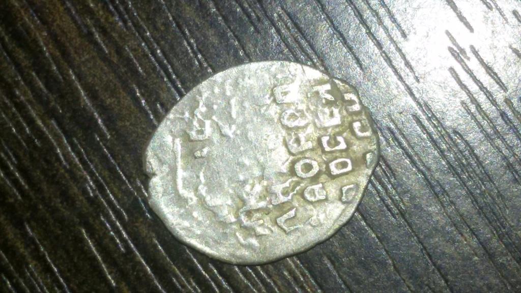 чешуя, чья не знаю