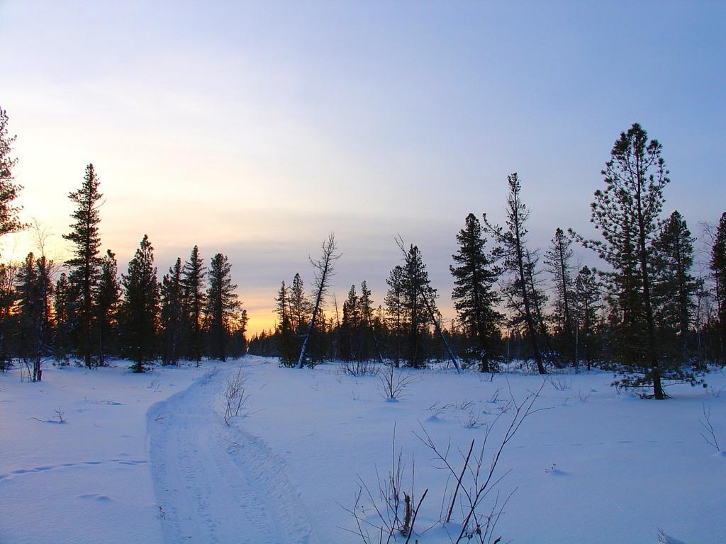 буранка