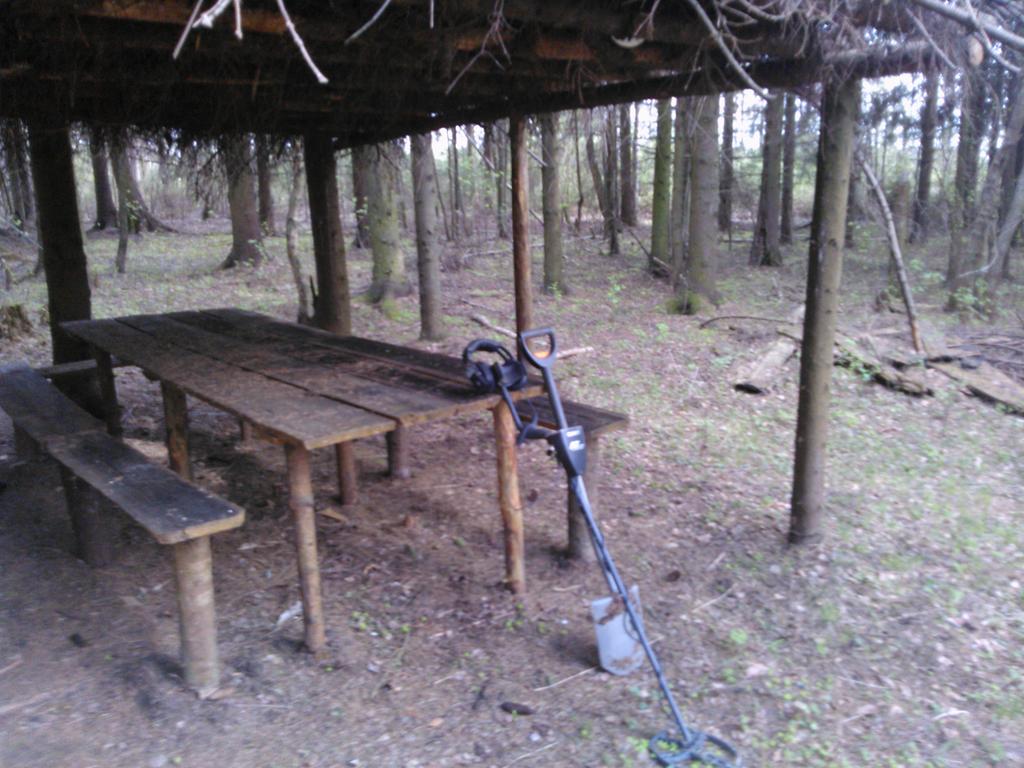 лес
