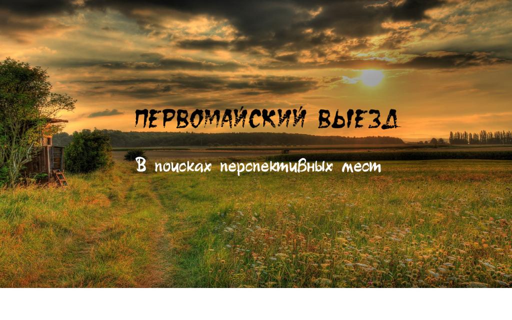в поисках