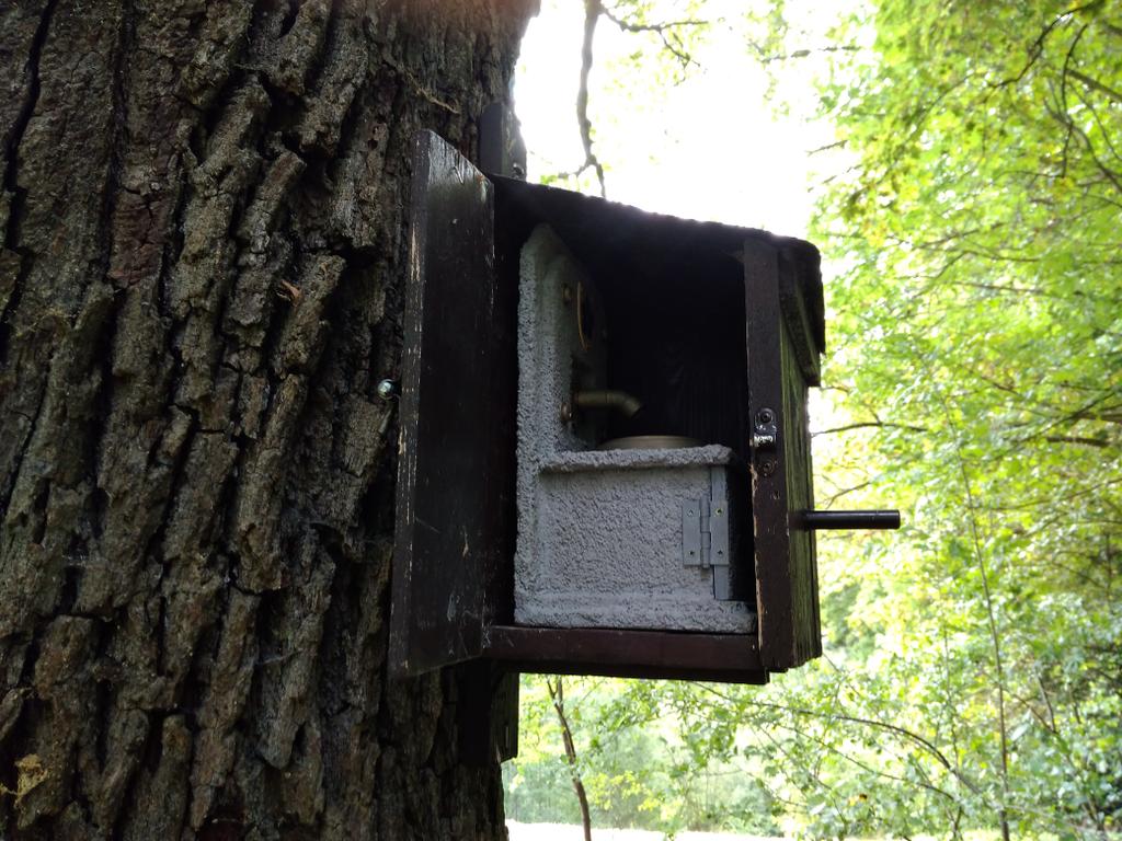 Скворечник сбоку