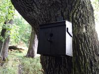 скворечник