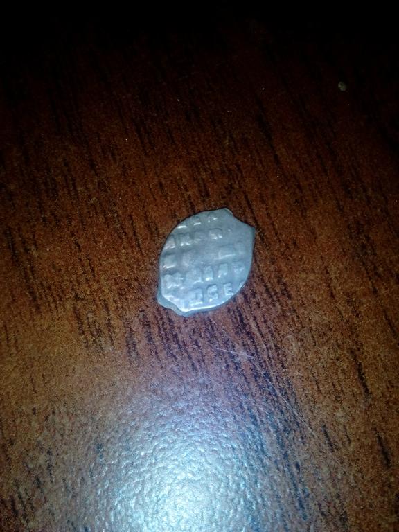 чашуйка